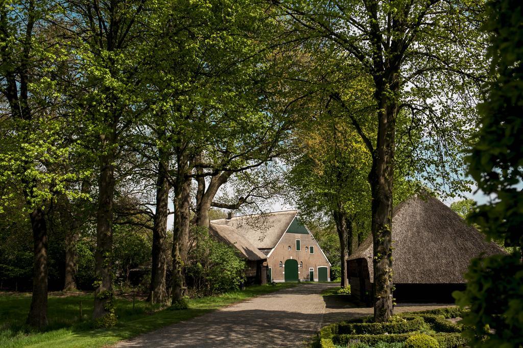 Bed & Breakfast Rheezerstee