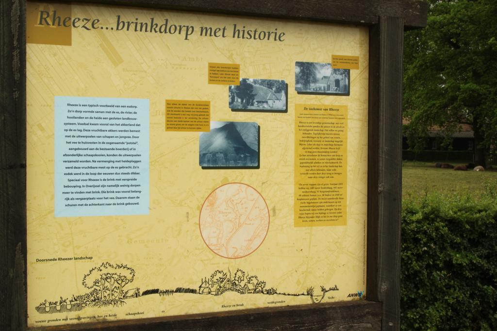 Rheezerstee